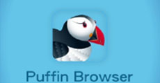 puffin浏览器怎么用 puffin浏览器使用方法