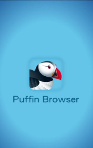 puffin浏览器怎么用