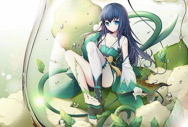 莹草带什么御魂？快来看看吧！