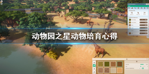 新手玩家养殖动物园之星动物的小技巧
