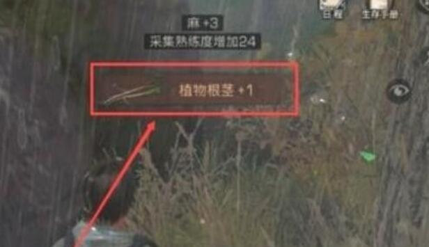 明日之后无限刷金条方法